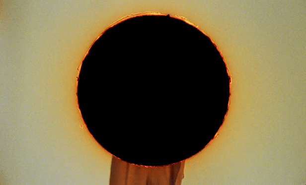 Thibault Della Gaspera